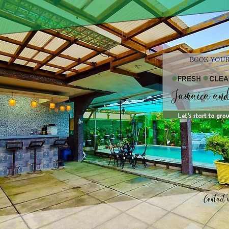 Private House W/ Swimming Pool Staycation Tarlac Tarlac City Kültér fotó